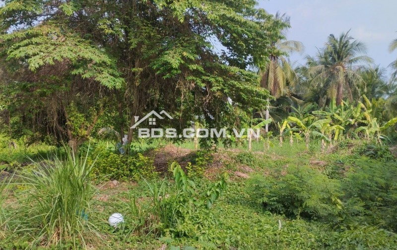 1000m2 đất mặt tiền lộ thầy Cai cách đại lộ Đông Tây 100m